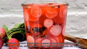 Свежая редиска всю зиму: как сохранить в домашних условиях