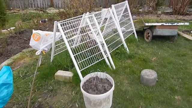 ВЫКИДЫВАЮ РОЗЫ и радуюсь хорошим кустикам. смотреть онлайн