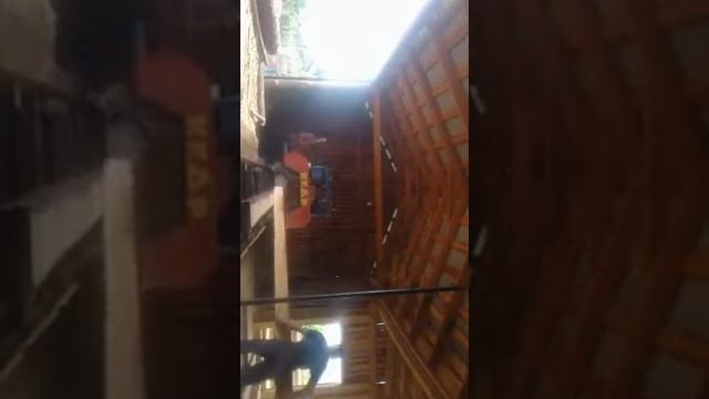 Пилорама кедр (распиловка) смотреть онлайн