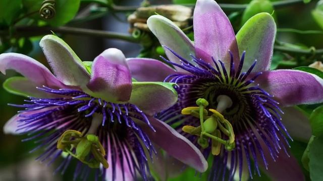 Как Сделать Легко и Просто