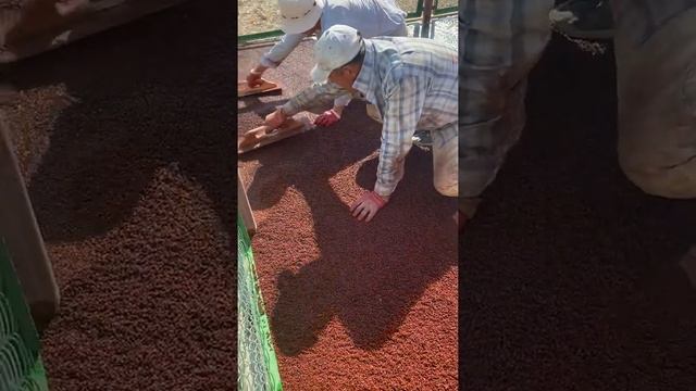 Кызылорда уличные тренажеры и детская площадка смотреть онлайн