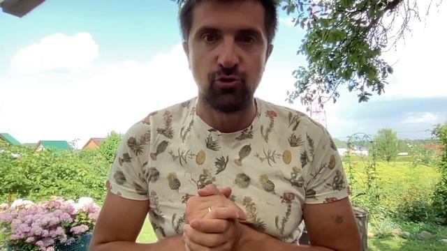Форма SUI + SUI Names ?? Гайд по заполнению формы и новая активность в сети смотреть онлайн