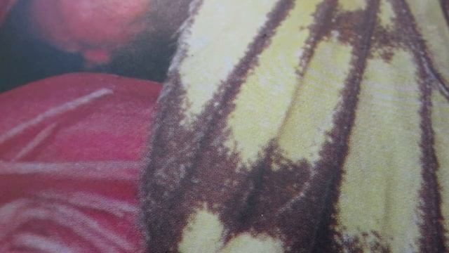 Мужская шляпа.Men's hat смотреть онлайн