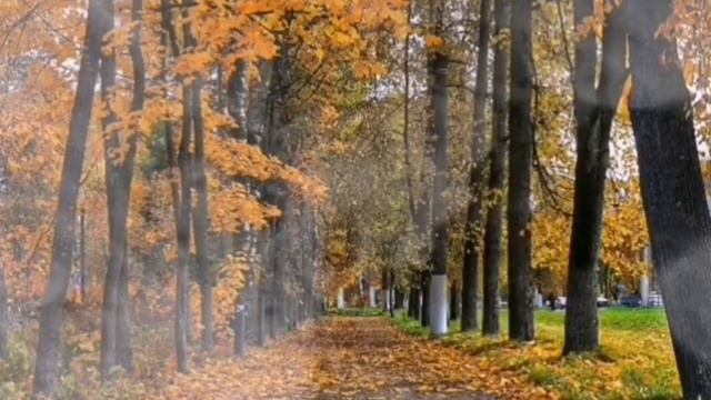 День всех Святых и день поминания усопших. 1 ноября и 2 ноября смотреть онлайн