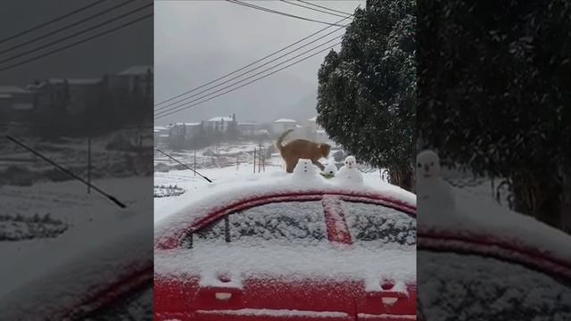 кисики смотреть онлайн