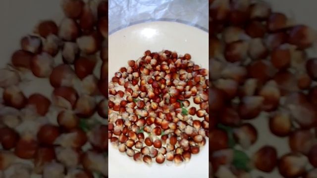Как сажать кукурузу-попкорн смотреть онлайн