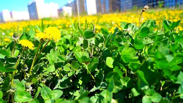 Одиночество. Мелодрама. смотреть онлайн