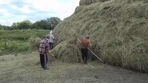 скирдование сена