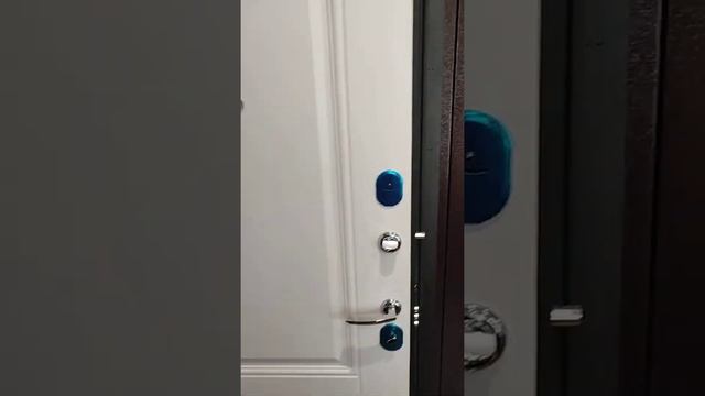 Входная Дверь Вена смотреть онлайн