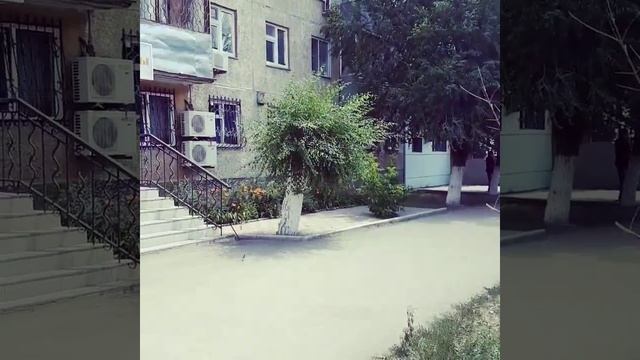 Дом антенн актобе телефон смотреть онлайн
