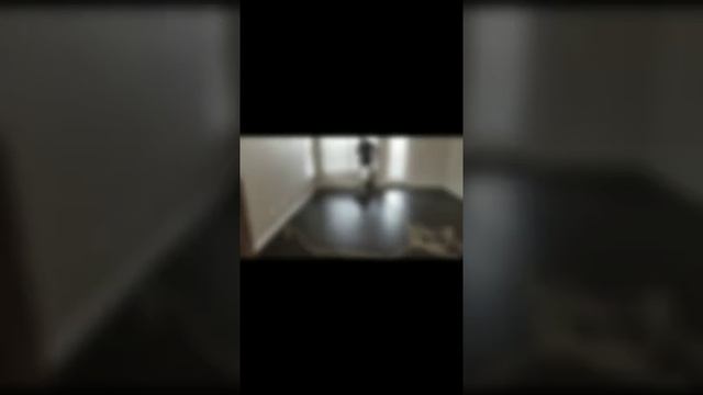 How to Professionally Clean Hardwood Floors video. смотреть онлайн