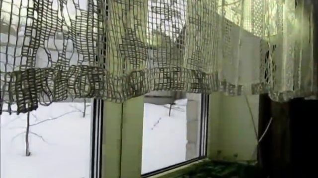 Правильный уход за рассадой перца смотреть онлайн