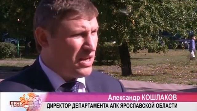 На ярославском «Русьхлебе» грядут массовые сокращения смотреть онлайн