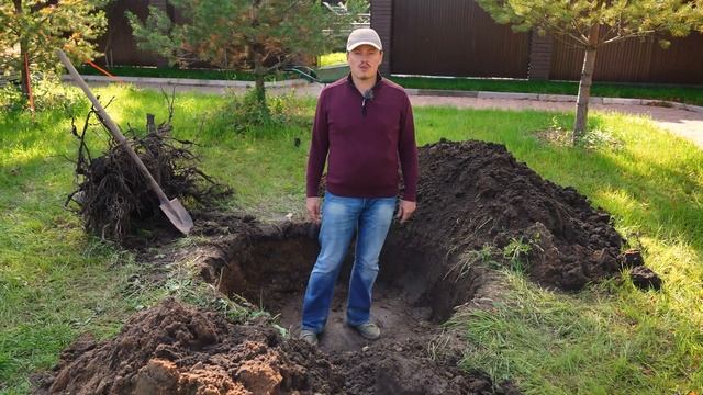 ПРАВИЛЬНАЯ ПОСАДКА ДЕРЕВЬЕВ - как обеспечить 100% ПРИЖИВАЕМОСТЬ смотреть онлайн