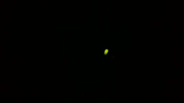 Bornean Firefly смотреть онлайн
