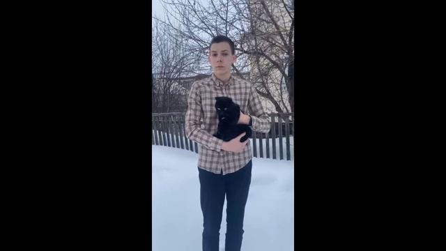 Мастер и Маргарита