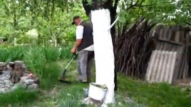 Косим траву в саду вокруг деревьев и в ягоднике смотреть онлайн