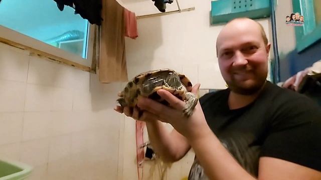 Получили посылку из МОСКВЫ?//Арчик выполняет команды//Йоркширский терьер//Кормим красноухих черепах смотреть онлайн