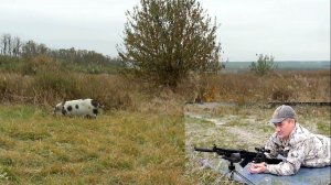 Почти охота на кабана / SUBSONIC FMJ 12.7гр. на 100м из Сайга-МК 7.62х39