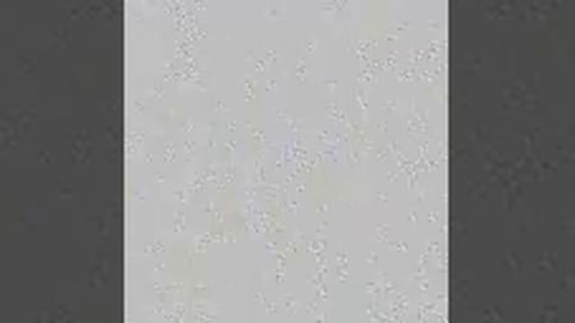 Rodina Role Play || Nikolay Sorokin смотреть онлайн