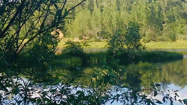 Лагерь в Топольках на берегу. 08.07.2019 смотреть онлайн
