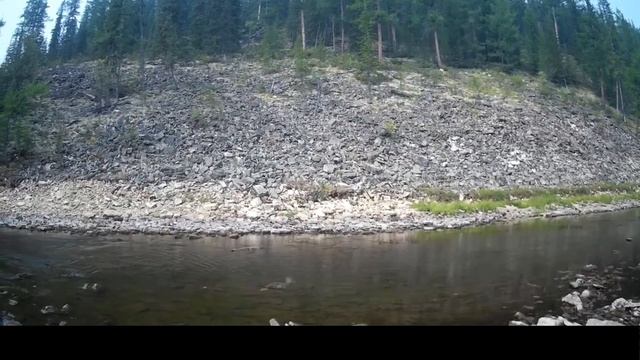 Глухая тайга.Дикие реки и только спиннинг  и мышь.Ловим ленка в мелких речках заросших тиной...