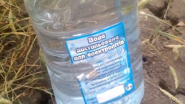 09.08.2020 Як почуває себе сорго в засуху! смотреть онлайн