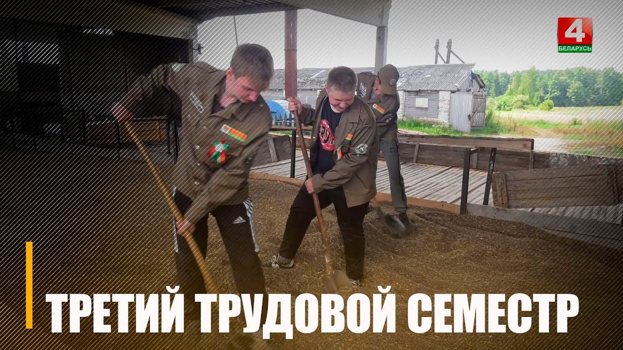 На Гомельщине продолжается третий трудовой семестр смотреть онлайн