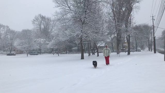 Christmas Eve Snow in Batavia, NY смотреть онлайн