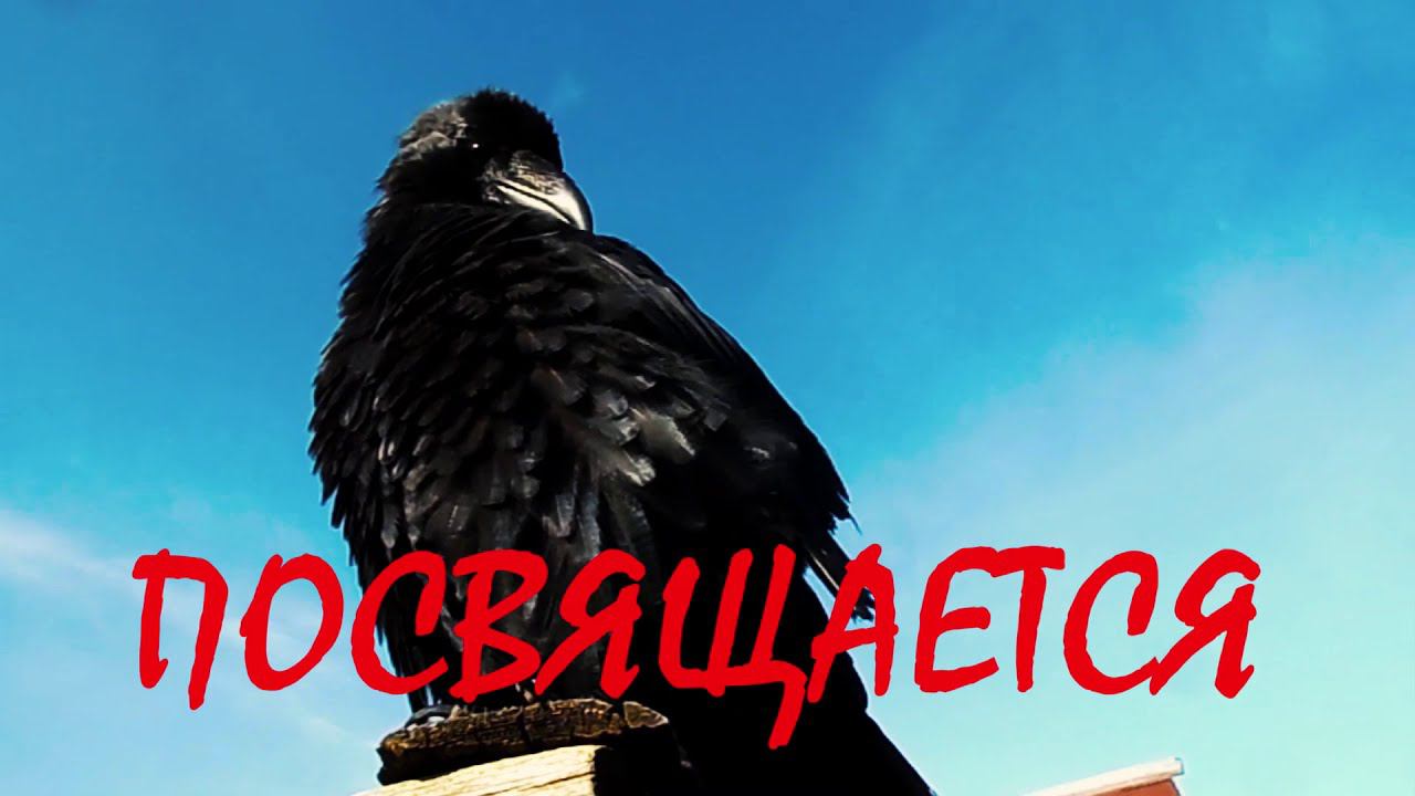 Золотой Ключ Родной Руской Речи. смотреть онлайн