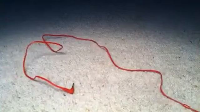 Sony Bumpin Buds Review (HD) смотреть онлайн