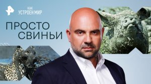 Просто свиньи — Как устроен мир с Тимофеем Баженовым (22.05.2023)