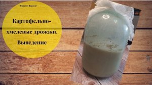 Картофельно-хмелевые дрожжи. Выведение дрожжей