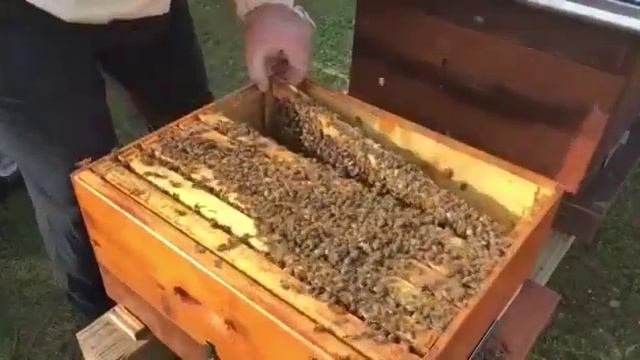 Наступил на грабли получил урок