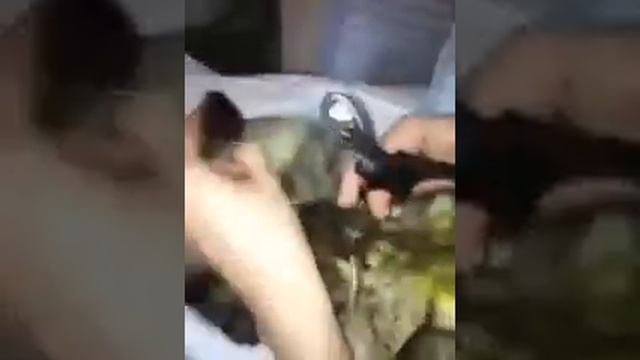 Как стричь коту когти смотреть онлайн