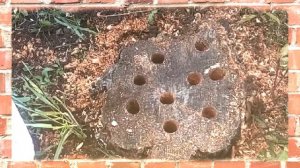 Как удалить пень. Как удалить пень от спиленного дерева