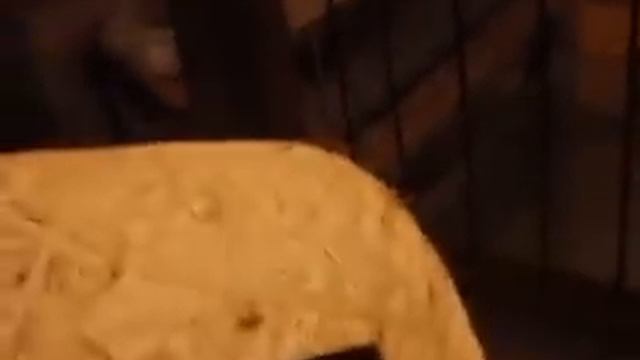 клетка для бройлеров своими руками смотреть онлайн