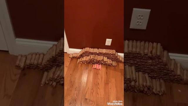 How many pennies fit in a 5 gallon jug? How much money is 5 gallons of pennies? смотреть онлайн