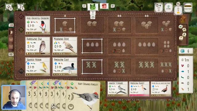 Wingspan Gameplay | The Crossroads of Destiny смотреть онлайн