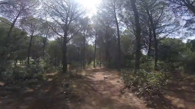 GoPro: Downhill MTB | Pinar Del Rey |