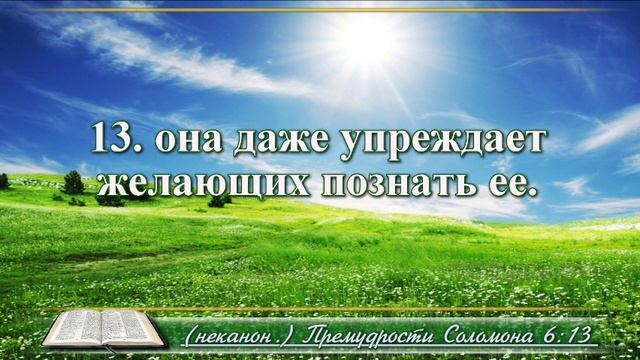 Книга премудрости Соломона с музыкой глава 6 читаем и слушаем смотреть онлайн