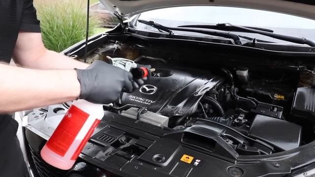 HOW TO CLEAN YOUR ENGINE BAY !!! EASY TUTORIAL ! смотреть онлайн