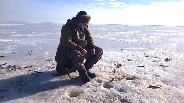Плотва и подлещик... смотреть онлайн