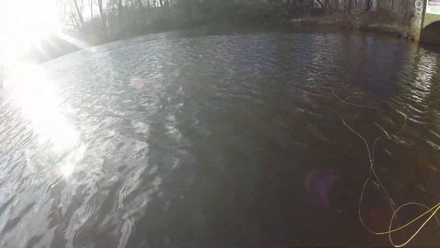 Small Pond Fishing - Thoreau's Favorite Fish - WALDEN Style Pickerel on Woolly Buggers смотреть онлайн