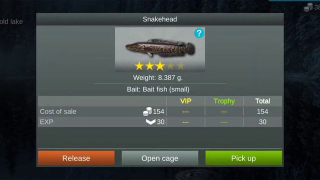 My Fishing World : Змееголов (Ежедневное задание, Холодное озеро) #myfishingworld смотреть онлайн