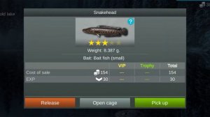 My Fishing World : Змееголов (Ежедневное задание, Холодное озеро) #myfishingworld