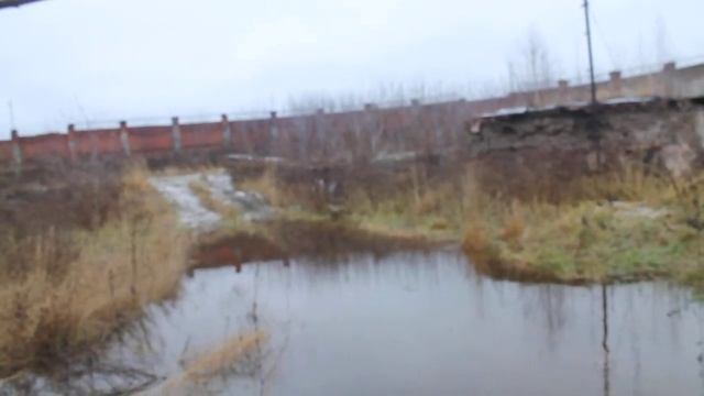 Дамбу мукомольного комбината продолжает размывать смотреть онлайн