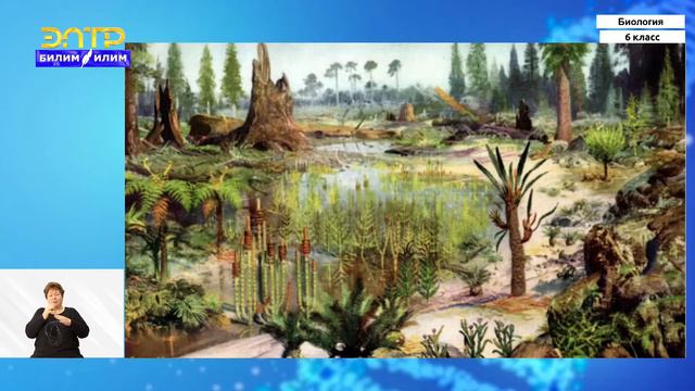6-класс | Биология | Понятие об эволюции растительного мира смотреть онлайн