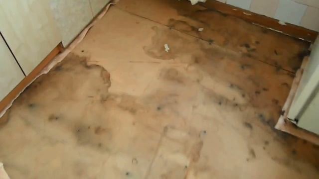 ремонт кухни 5 кв м смотреть онлайн