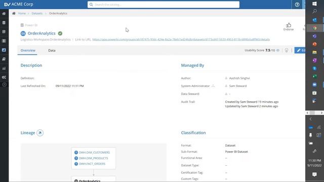 Create A Centralized Inventory Of Power BI Datasets And Reports With DvSum Agile Data Catalog